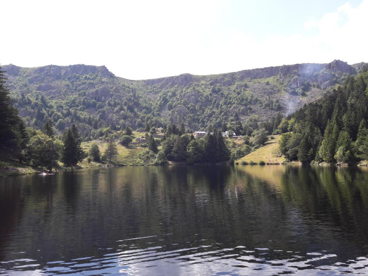 MUNSTER camping de la FECHT Munster (Haut-Rhin) Exterior foto