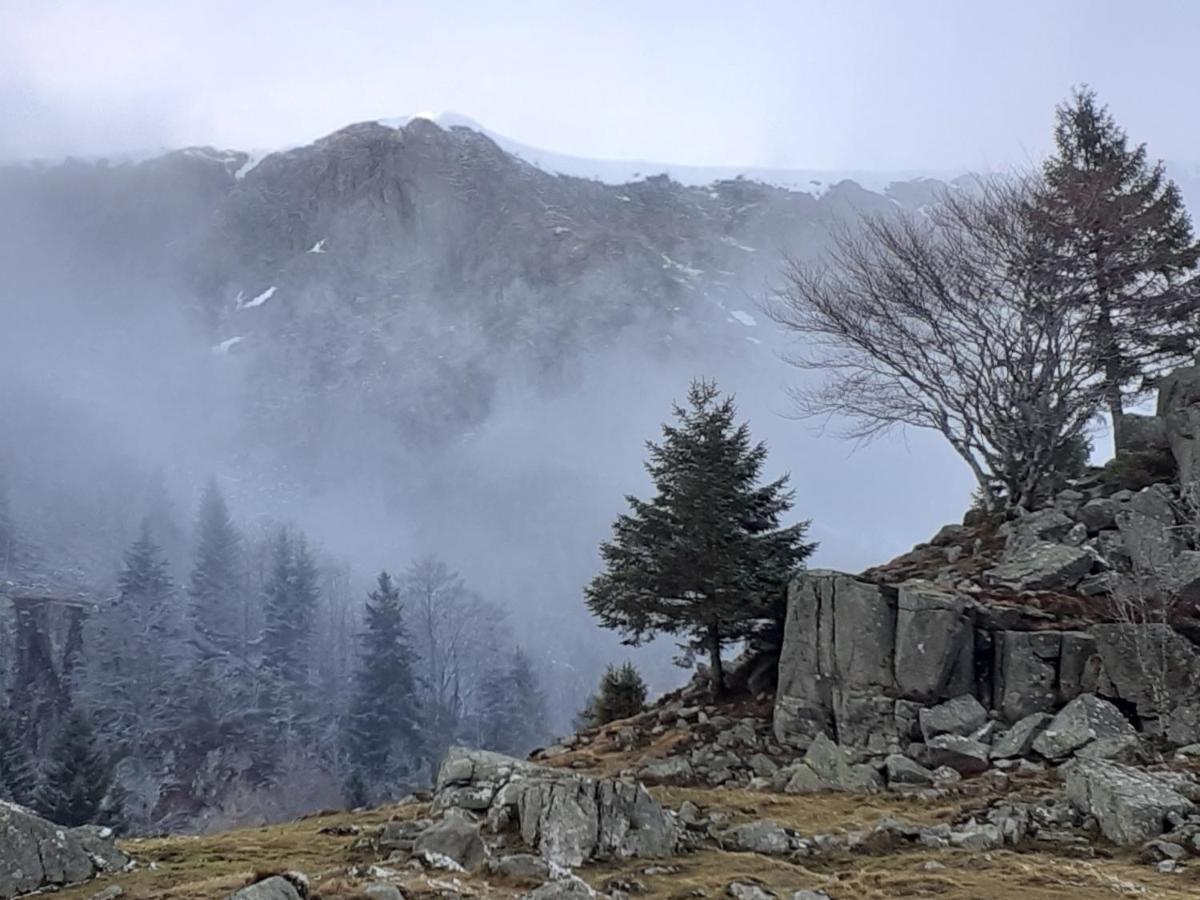 MUNSTER camping de la FECHT Munster (Haut-Rhin) Exterior foto