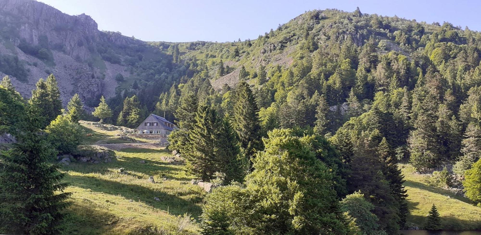 MUNSTER camping de la FECHT Munster (Haut-Rhin) Exterior foto